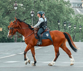 cavalier d'unite equestre
