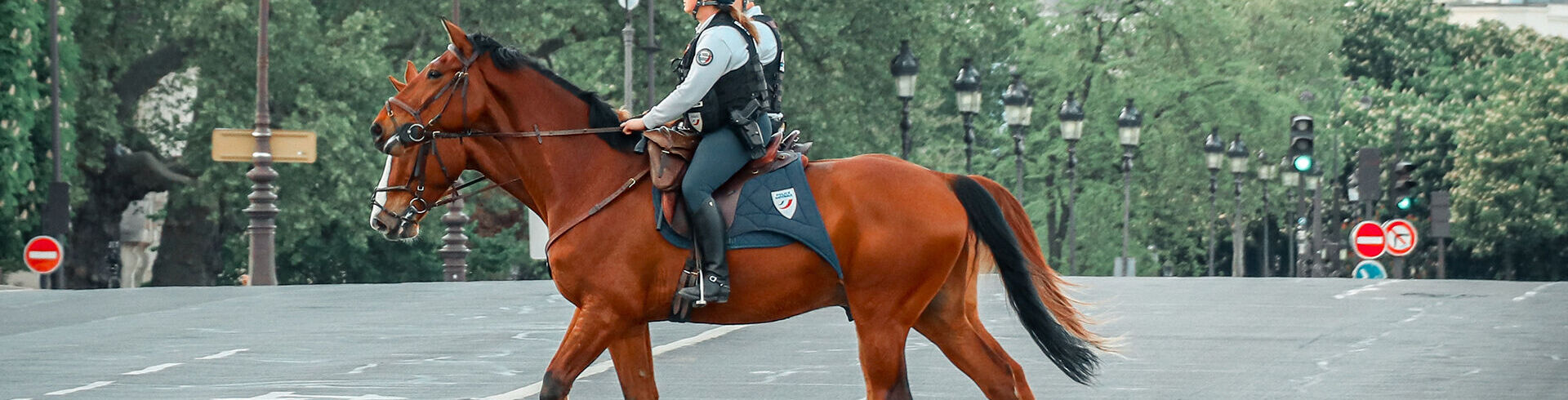 Devenir Policier cavalier d'unité équestre dans la Police Nationale