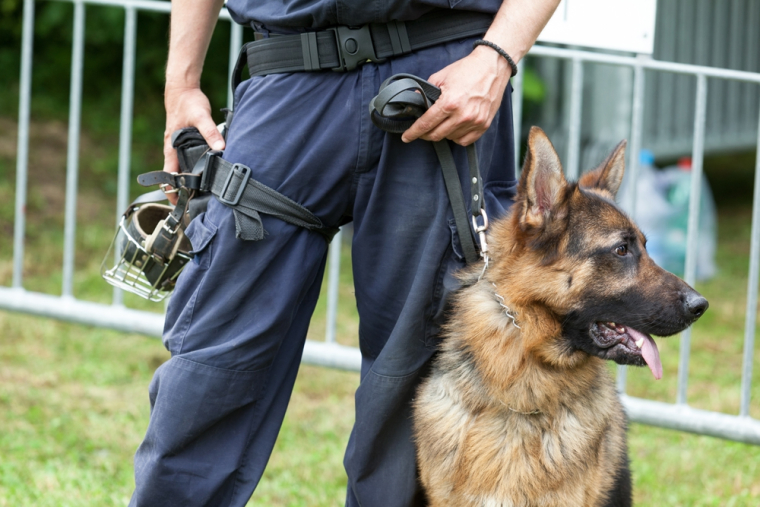 Tenue et équipements du Policier Maître-chien