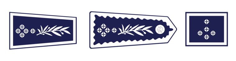 Insignes du Directeur Général de la Police Nationale