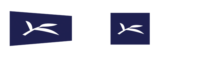 Insignes de l'élève et du stagiaire Commissaire de Police