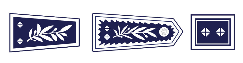 Insignes du Contrôleur Général des services actifs de la Police