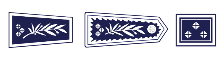 Insignes de l'Inspecteur Général des services actifs de la Police