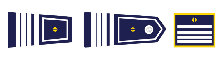 Insignes du Commandant divisionnaire