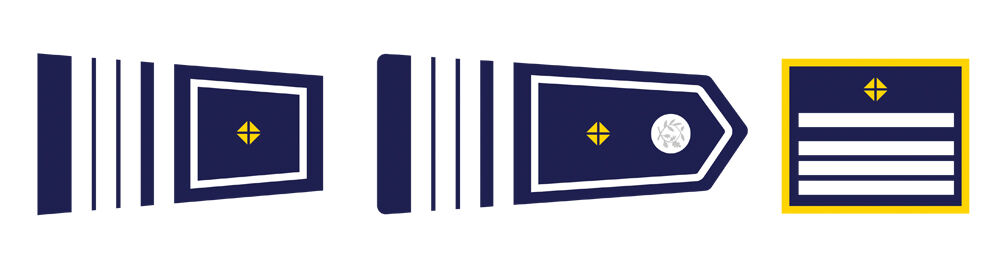 Insignes du Commandant divisionnaire
