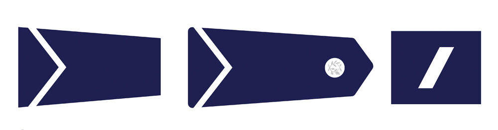 Insignes du Gardien de la Paix Stagiaire