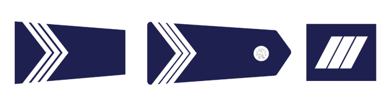 Insignes du Gardien de la Paix (