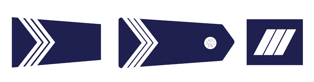 Insignes du Gardien de la Paix (