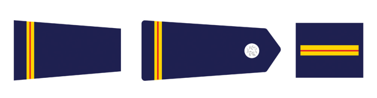 Insignes du Brigadier Police