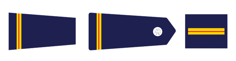 Insignes du Brigadier Police