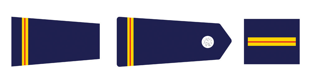 Insignes du Brigadier Police