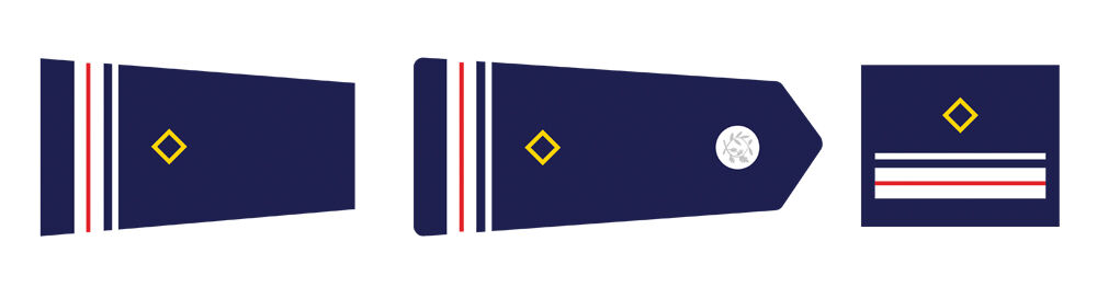 Insignes du Major de Police à échelon exceptionnel