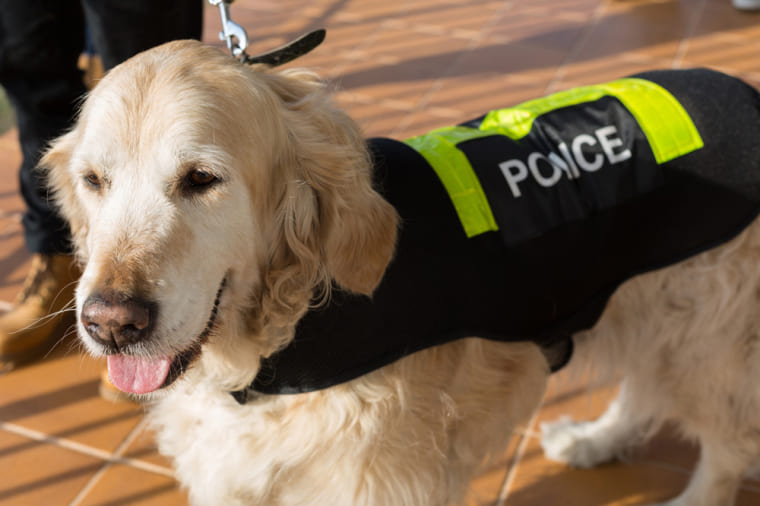 maitre-chien policier